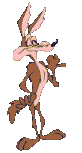GIF animado (19834) Coyote