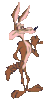 GIF animado (19834) Coyote