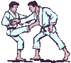 GIF animado (15098) Derribo judo