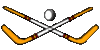 GIF animado (16207) Disco palos hockey