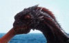 GIF animado (21860) Dragon marino