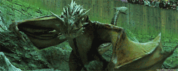GIF animado (21881) Dragon salvaje