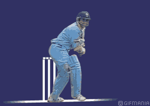 GIF animado (15583) Drive cricket