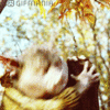 GIF animado (22121) Duende bosque