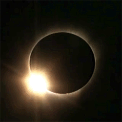 GIF animado (21104) Eclipse solar