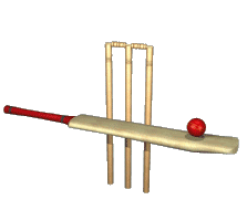 GIF animado (15584) Elementos cricket