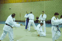 GIF animado (15099) Entrenando judo