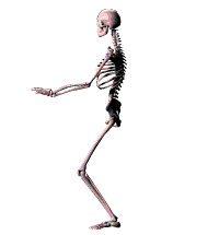 GIF animado (15189) Esqueleto taichi