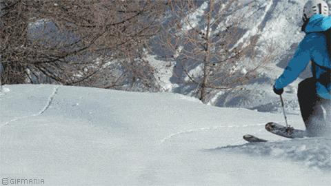 GIF animado (15691) Esquiador