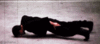 GIF animado (15088) Exhibicion flexiones bruce lee