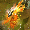 GIF animado (21626) Fenix volando