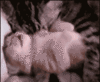 GIF animado (24059) Gata abrazando cria
