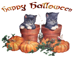 Imagen GIF de Gatitos halloween animado