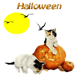 GIF animado (22666) Gatitos halloween