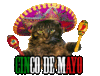 GIF animado (22532) Gato cinco mayo