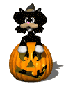 GIF animado (22831) Gato negro calabaza halloween