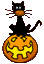 GIF animado (22832) Gato negro calabaza halloween
