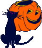 GIF animado (22835) Gato negro calabaza halloween