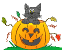 GIF animado (22836) Gato negro calabaza halloween