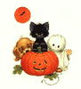 GIF animado (22840) Gato negro calabaza halloween