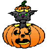 GIF animado (22841) Gato negro calabaza halloween