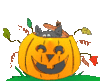 GIF animado (22846) Gato negro calabaza halloween