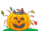 GIF animado (23614) Gato negro halloween