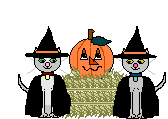 GIF animado (22668) Gatos halloween