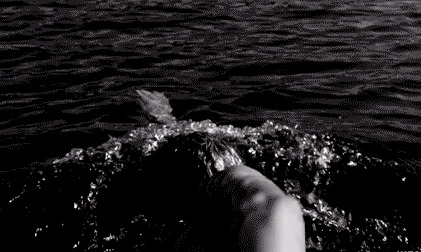 GIF animado (16262) Hombre nadando