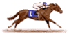GIF animado (16195) Jockey