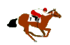 GIF animado (16200) Jockey