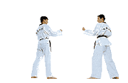 GIF animado (15101) Judo