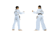 GIF animado (15101) Judo