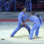 GIF animado (15104) Judo profesional