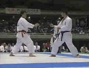 GIF animado (15127) Karate