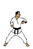 GIF animado (15128) Karate