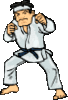 GIF animado (15130) Karateca
