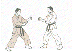 GIF animado (15132) Karatecas