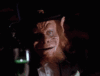 GIF animado (22458) Leprechaun pelicula