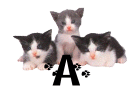 GIF animado (29927) Letra a gatitos