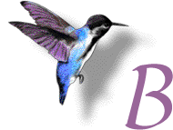 GIF animado (28881) Letra b colibri