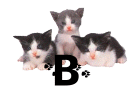 GIF animado (29928) Letra b gatitos
