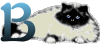 GIF animado (29954) Letra b gato angora