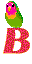 GIF animado (28996) Letra b periquito