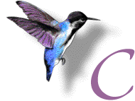 GIF animado (28882) Letra c colibri