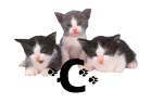 GIF animado (29929) Letra c gatitos