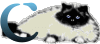 GIF animado (29955) Letra c gato angora