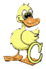 GIF animado (28944) Letra c patito