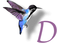 GIF animado (28883) Letra d colibri