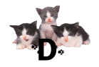 GIF animado (29930) Letra d gatitos